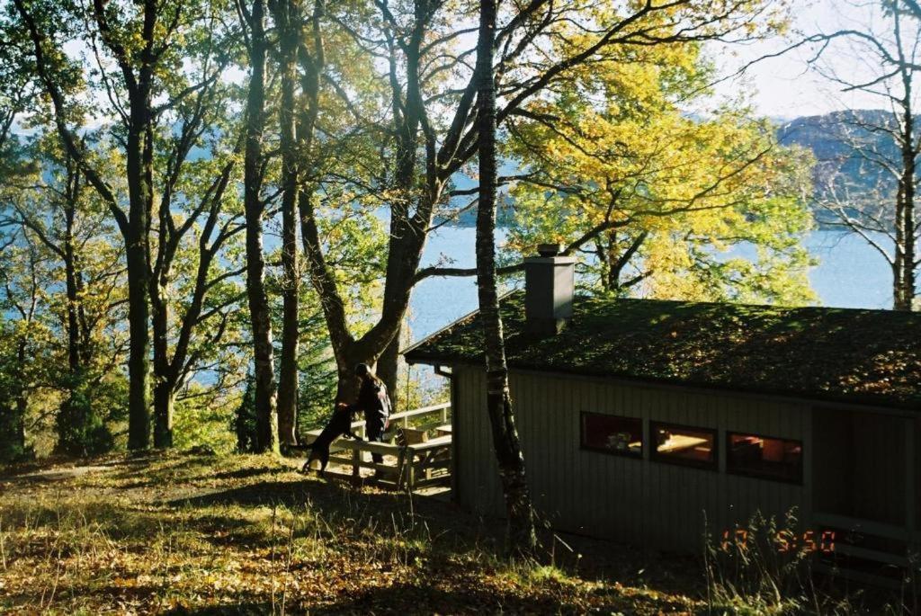 Hardanger Feriesenter Neshagen Villa Norheimsund Exteriör bild